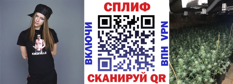 Где можно купить наркотики Заозёрск Псилоцибиновые грибы  Меф мяу мяу  ГАШ 