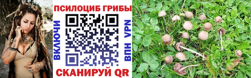 мега зеркало  Заозёрск  Псилоцибиновые грибы MAGIC MUSHROOMS 
